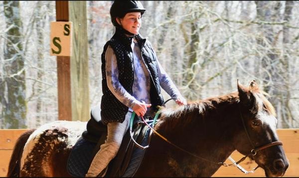 Southern Reins Center For Equine Therapy