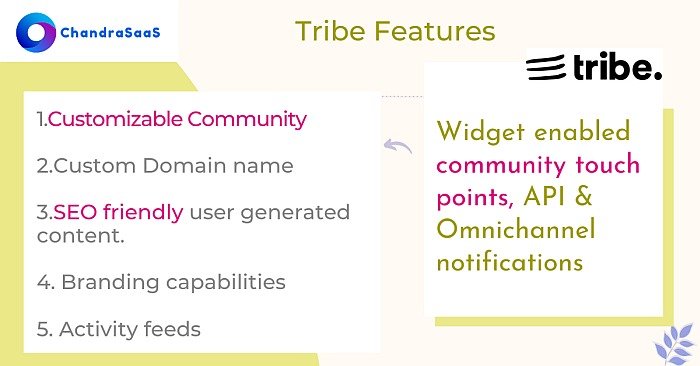 Tribe.so community software features